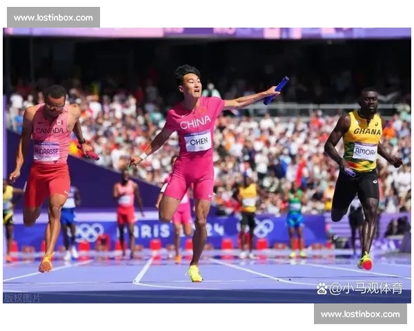 2024年叱咤风云！年度体育实力排行榜出炉，谁是真正的王者