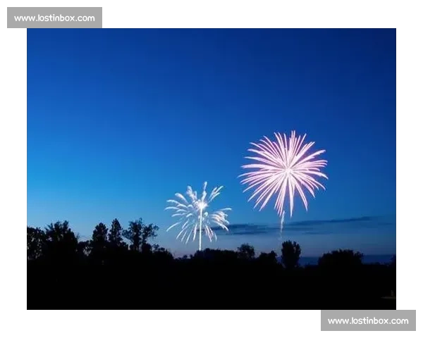 痛彻心扉！那一刻的失落，谁能体会世界杯亚军的煎熬