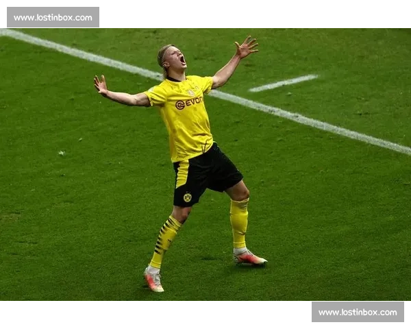 绿茵场上的超级射手，哈兰德进球榜再创新高！