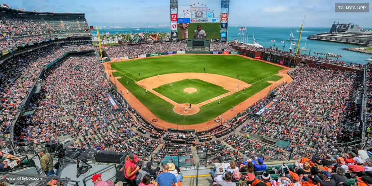 星空综合体育🏃♂️运动不止步，青春正当时 —— 你的体育主场，等你征服！